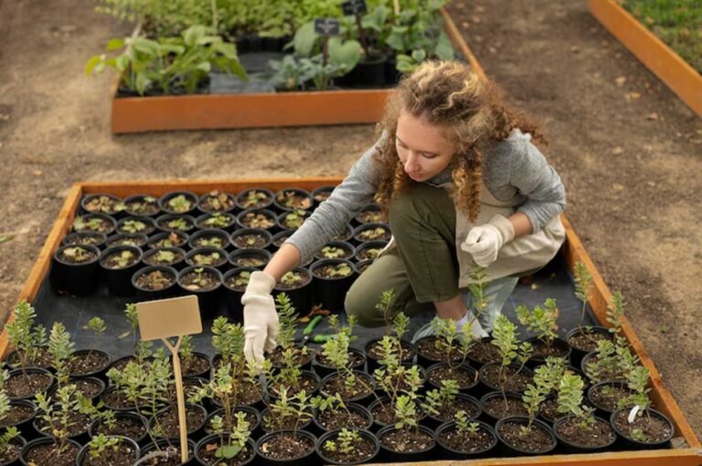 How To Grow A Healthy Lawn And Plant Grass Seed